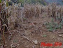 Image hberge par servimg.com