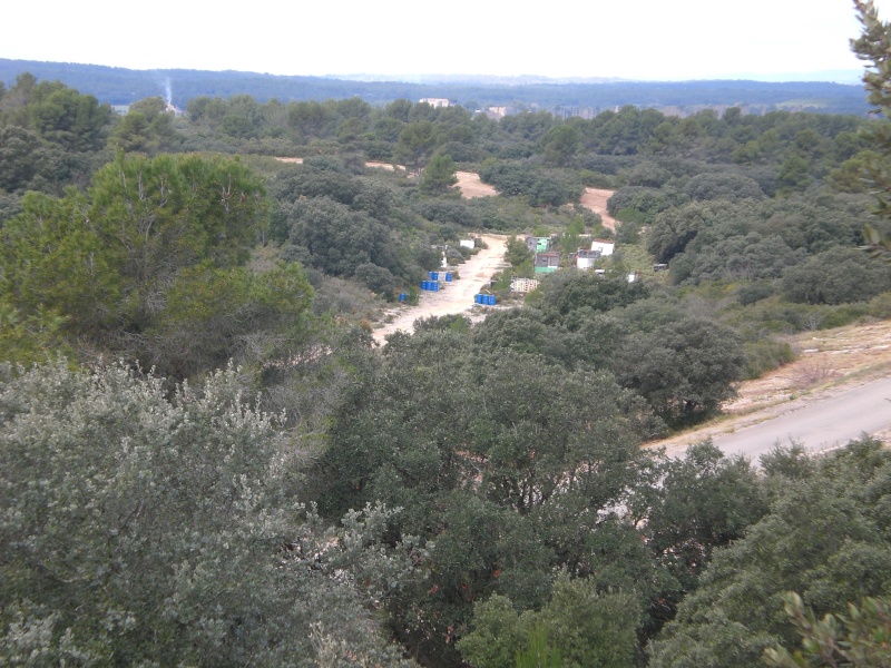 WATTs (woodwar airsoft tactical team, Salon de Provence)