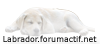 Ce sujet est verrouillé, vous ne pouvez pas éditer les messages ou faire de réponses. Ce sujet est verrouillé, vous ne pouvez pas éditer les messages ou faire de réponses.