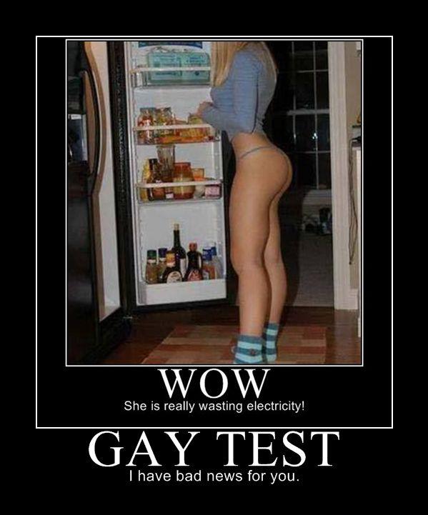 The Am I Gay Test 92