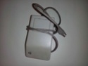 souris10.jpg