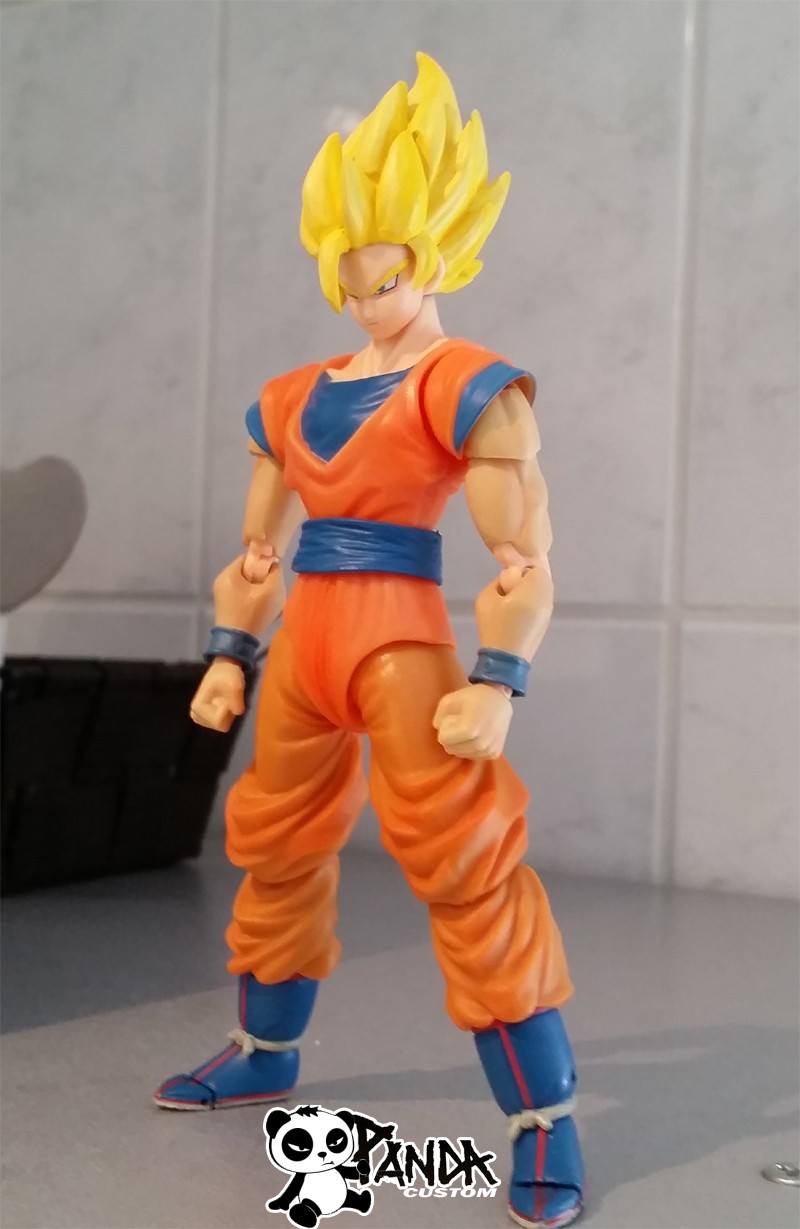 goku310.jpg