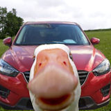 Avatar du membre