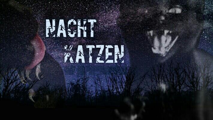 Nachtkatzen