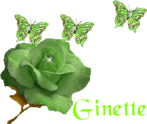 ginett10.gif