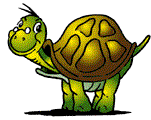 tortue10.gif