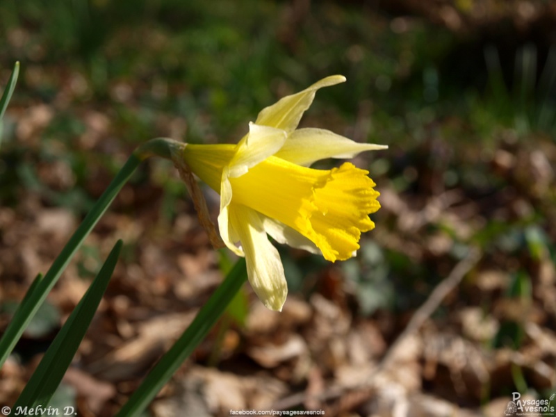 p3120815