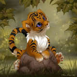 tiger10.jpg