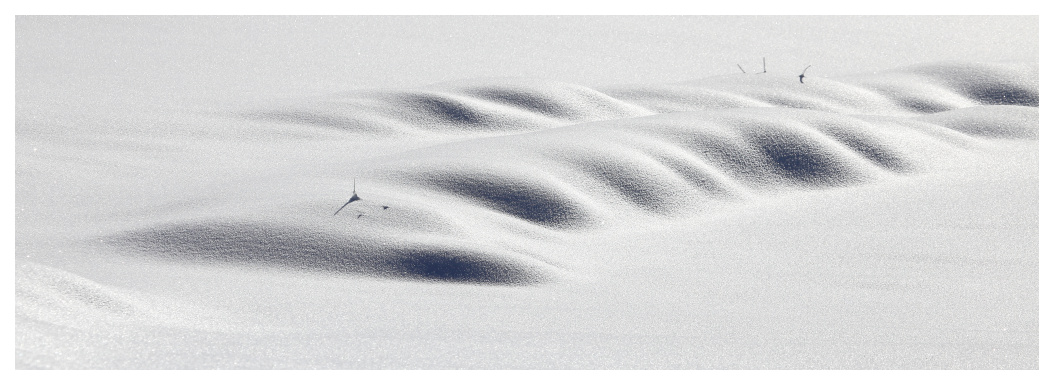 dunes10.jpg