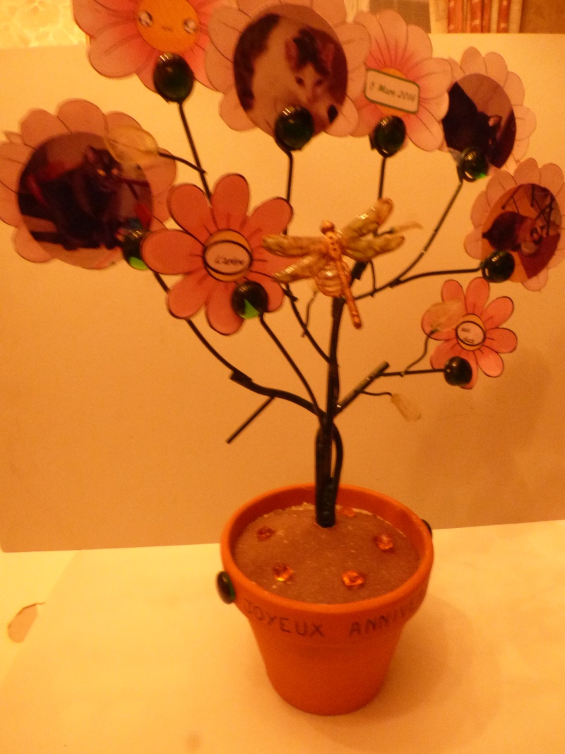 p1030813.jpg