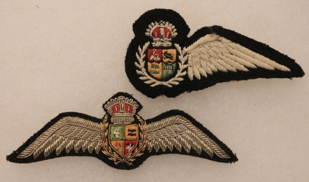 SAAF Bullion wings - British & Commonwealth Military Badge Forum