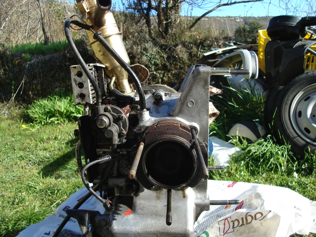dsc03747.jpg